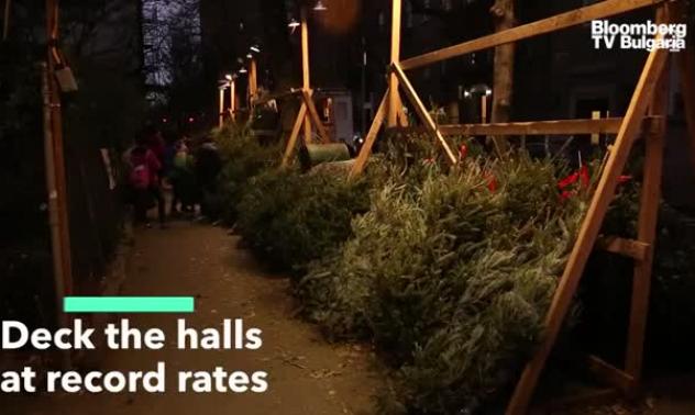 Пик на търсенето на коледна украса в САЩ