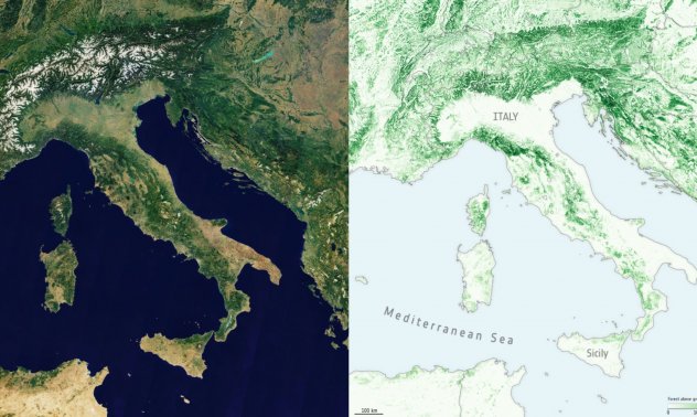 Сателитните технологии за наблюдение на горите скараха индустрията и Брюксел 
