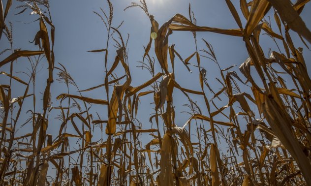 Топлинната инфлация в Испания ще изгори европейските портфейли