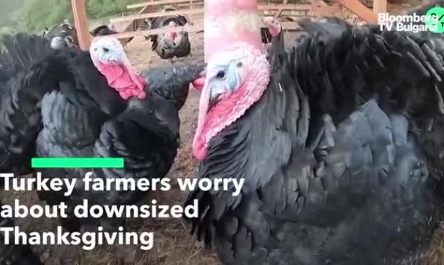 По-малко пуйки за Деня на благодарността