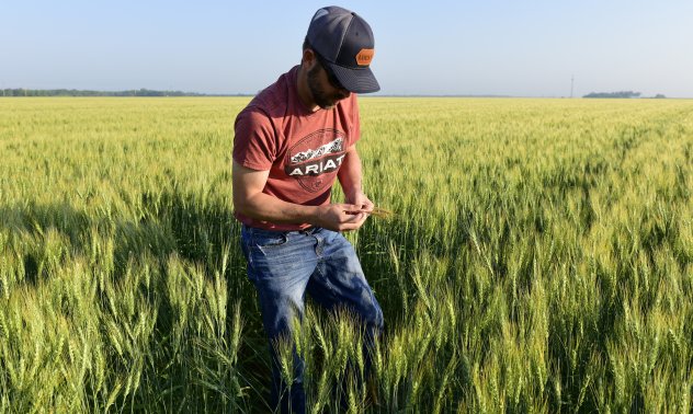 Световните стокови пазари в пет ключови графики