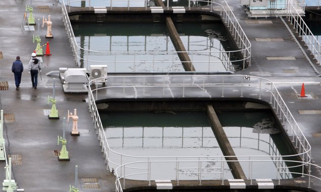 Бизнесът и потребителите имат еднакво важна роля в екологичната трансформация