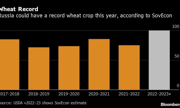 Рекордната руска реколта от 100 милиона тона пшеница залежава по складовете