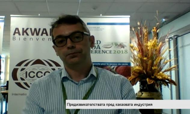 Климатичните промени не се отразяват на производството на какао в дългосрочен план