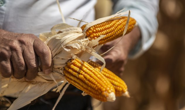 Царевицата скочи над десетгодишния си връх заради войната