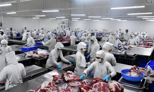 Има риск за срив в износа на свинско месо от Германия