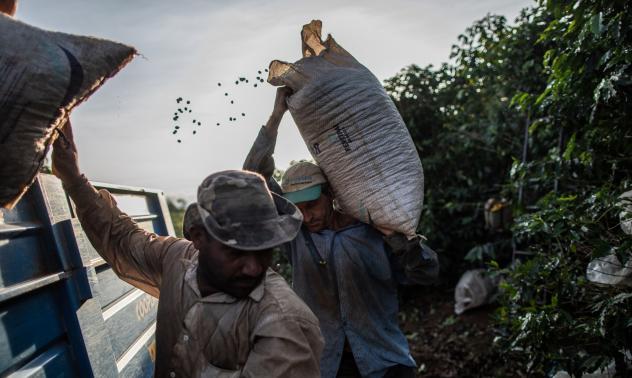 Светът е изправен пред недостиг на кафе 