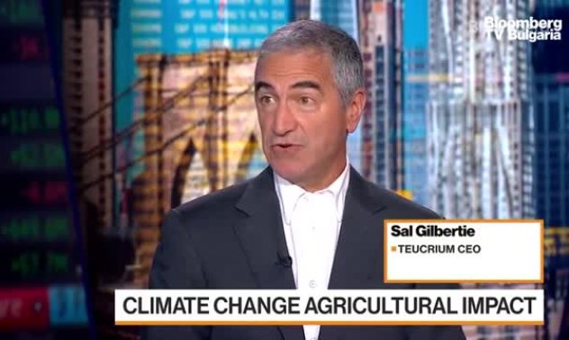 Teucrium вярва, че топлото време ще причини дислокация, част 1