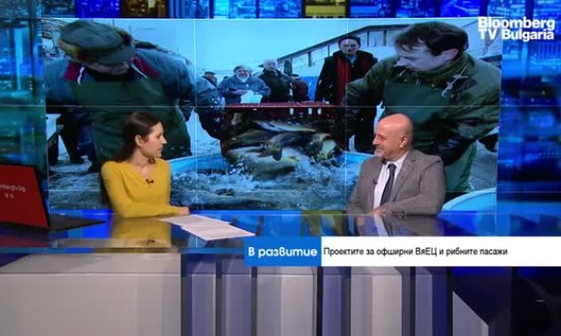 Пъстървовъдството в България се развива по-успешно от всякога