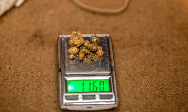 Канадска компания продава активите си в България на турско дружество за $59 млн.