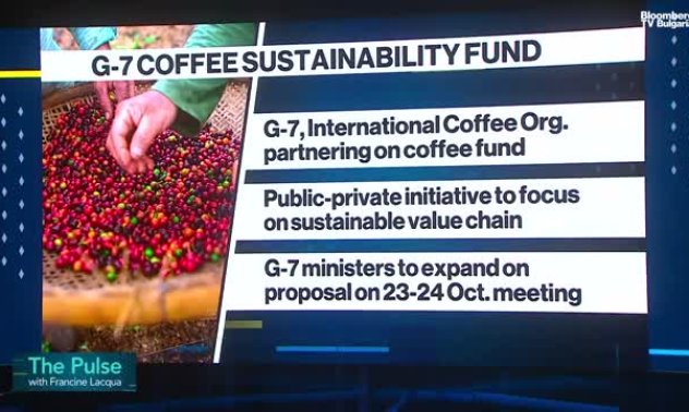 Андреа Или: Кафето трябва да излезе от регулацията за обезлесяването