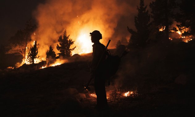 Пожар в Северна Каролина заплашва гора от вековни секвои 