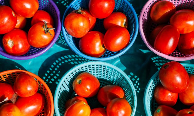 Какъв е урокът, на който ни учи доматът за свободната търговия