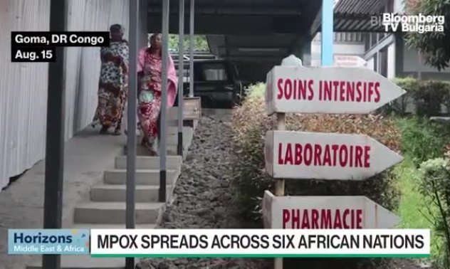 Какво трябва да знаем за епидемията от маймунска шарка?