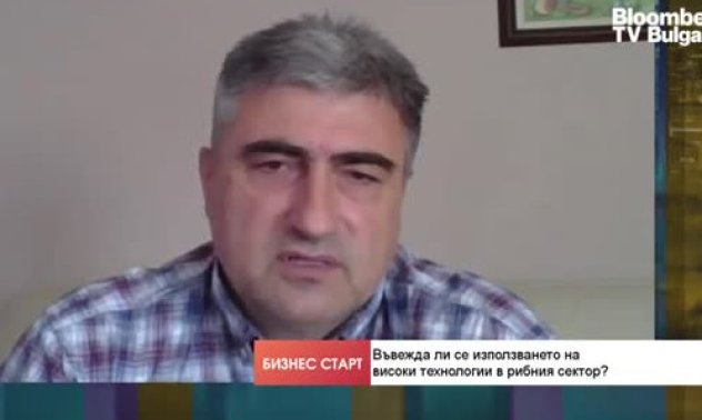 Българското рибопроизвоство затъва в блато от криворазбрана държавна "подкрепа"