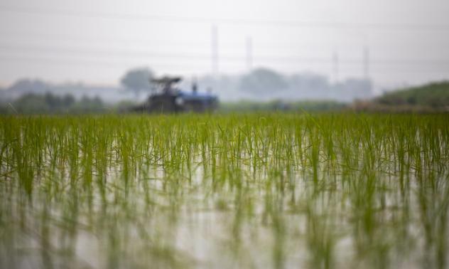 Развиващият се свят губи милиарди долари от трудовите мигранти 