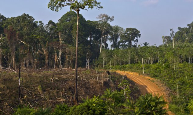ЕС постигна споразумение за забавяне на спорния закон за обезлесяването