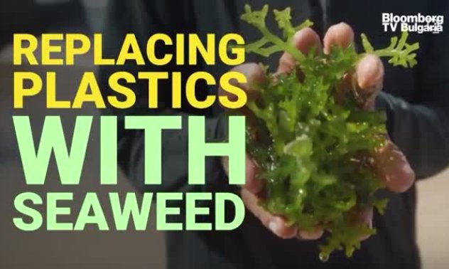 Водорасли заменят пластмасата, част 1