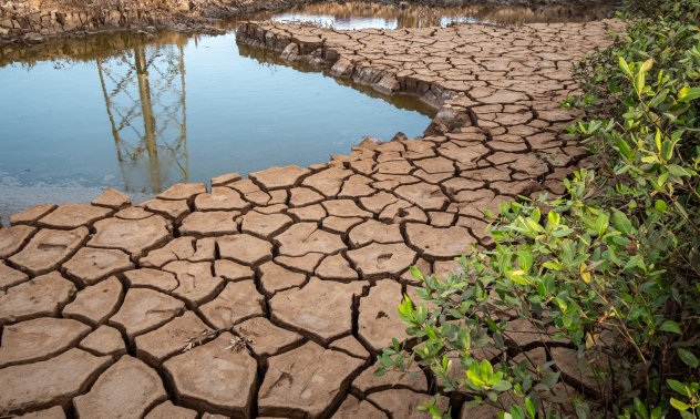 Глобален законодател иска финансовите отчети да отразяват риска, свързан с климата