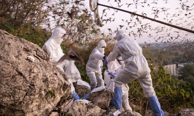 Зоонозни заболявания -  апокалипсисът, за който ще чувате често