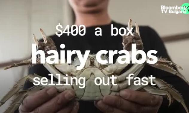 Космати раци за 400 долара кутията се разпродават бързо