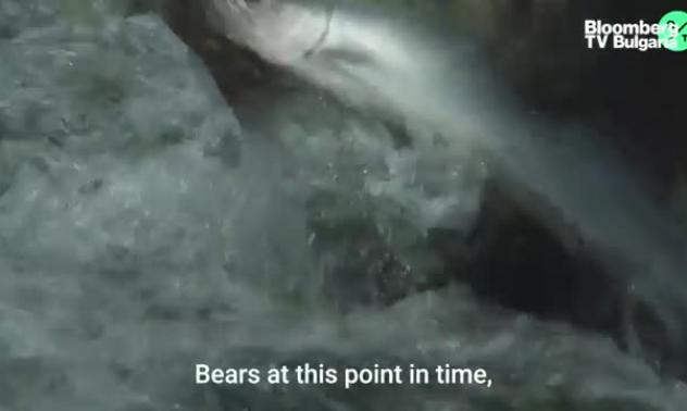 Защита на хабитата на дивата сьомга в Аляска