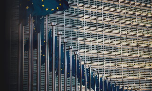 Смъртните заплахи и дезинформацията са ежедневната отрова на политиката в Европа