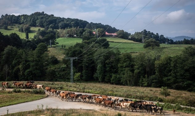 Война на лобита се води в Европейския парламент, заради новата земеделска политика на ЕК