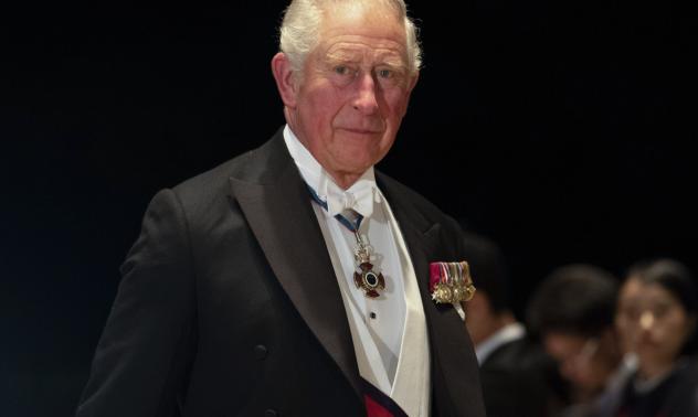 Принц Чарлз представи план от шест точки за борба с глобалното затопляне
