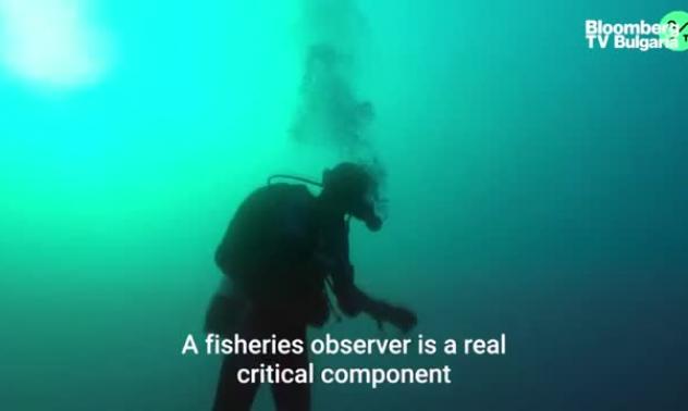 Covid вдигна преградите пред незаконния риболов