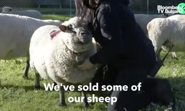 Детска учебна ферма намира нова цел сред пандемията