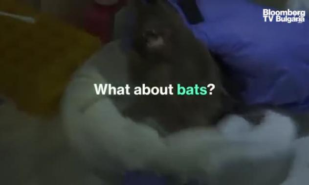 СЗО: Няма доказателства COVID да е лабораторен вирус