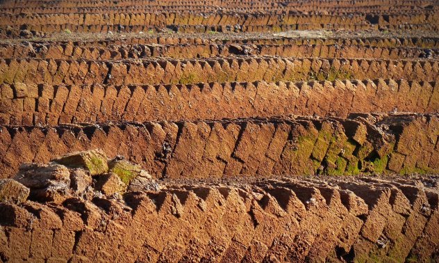 Енергия от блата: естонските учени използват торф за производство на батерии