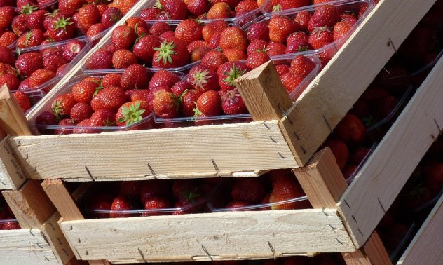 „100% американска“ работна сила в селското стопанство? Това е делюзия