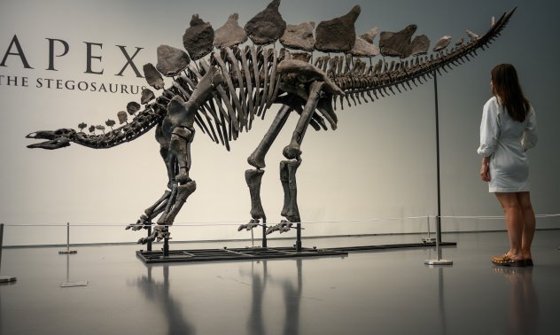 Как пазарът дойде за динозаврите