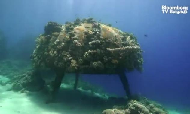 Подводната мисия на внука на Жак-Ив Кусто, част 3