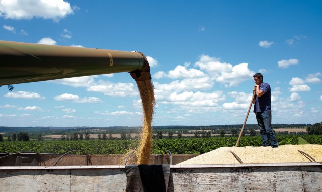 Инвеститорите ще платят цената за лошите кредити в бразилското земеделие
