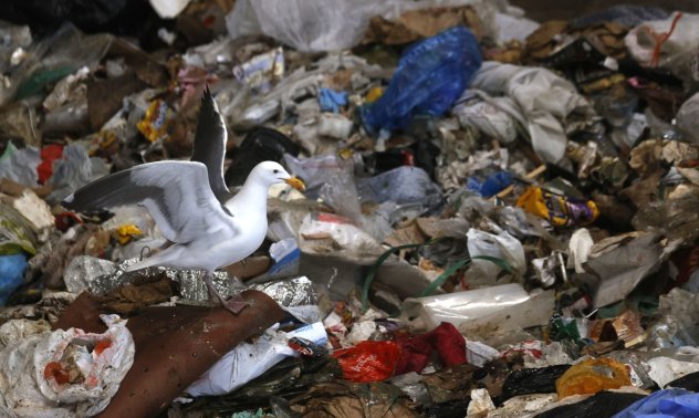 Риболовната индустрия трябва да почиства голяма част от отпадъците, които отделя 