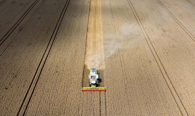 Най-големите търговци на зърно очакват спад на печалбите заради обилното предлагане