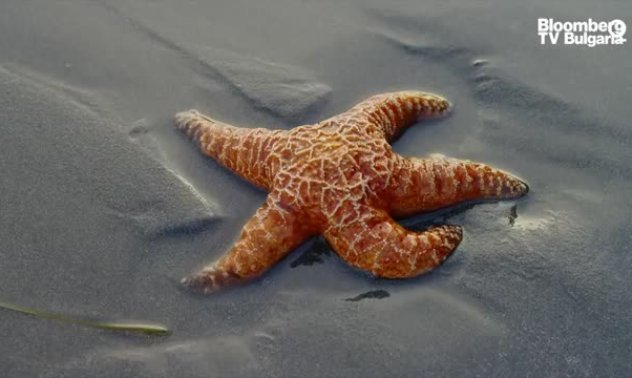 Битката с АЛС, част 5