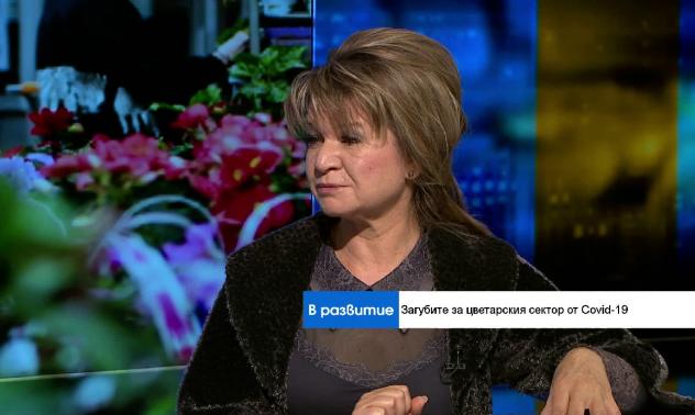 Експерт: ДДС в сектора на растениевъдството трябва да се намали до 9%