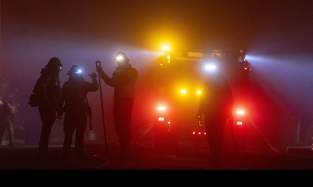Димът от горските пожари покачва смъртността и нанася значими икономически щети