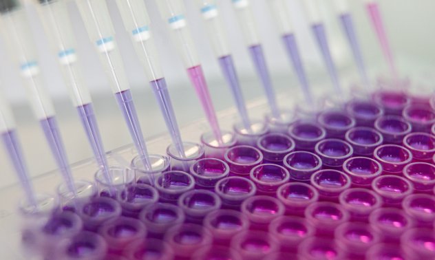 Европейският лидер в биотехнологиите очаква решаваща година след рали от 1300%