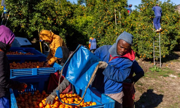 Африка може да даде важни уроци по кръгова икономика на света