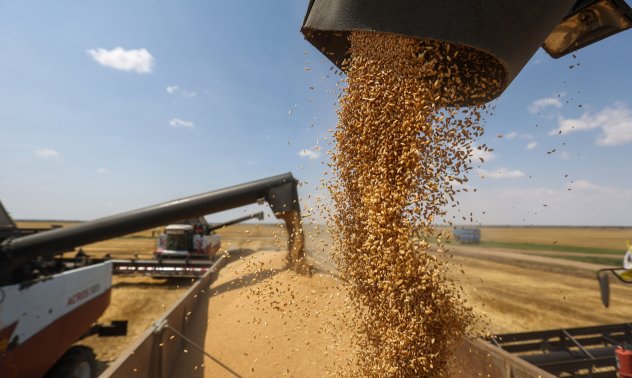 Световната продоволствена криза е на прага ни - войната води след себе си глад
