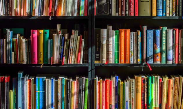 Кариерното ориентиране трябва да залегне в учебната програма още в 10-ти клас