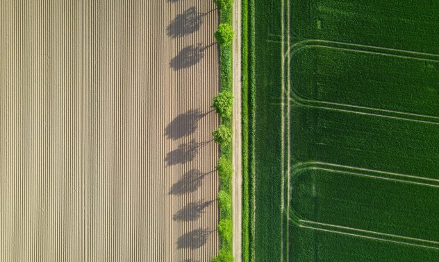 Българският AI стартъп, който преобразява земеделието със синтетични данни