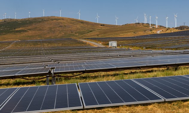 Знаете ли кой вярва в изменението на климата? Фондовият пазар