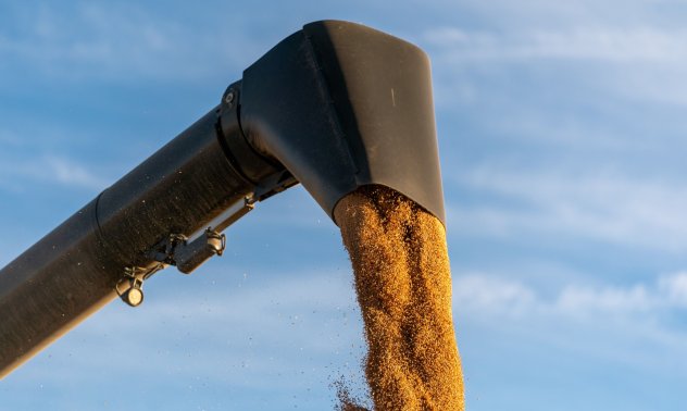 Пшеницата поскъпва след като Путин заплаши да промени сделката с украинското зърно