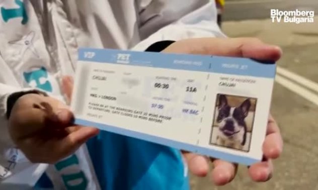 Домашните любимци на Хонконг се качват на частни самолети, част 1